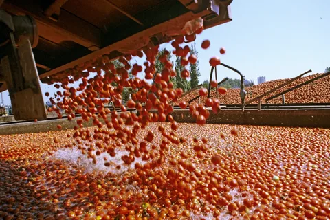 رب گوجه صنعتی ستاره دخت  + تازه و خوش‌ رنگ با کیفیت عالی